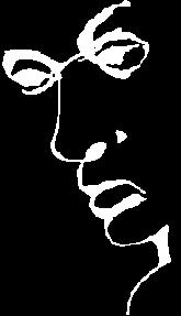 opticke klamy-liar.gif