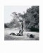 foto-silverman-harold-lonely-tree-6481.jpg